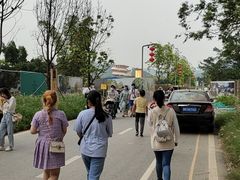 -光明小镇欢乐田园