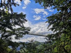 -藏龙百瀑风景区