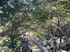 -沂蒙山旅游区云蒙景区(蒙山国家森林公园)