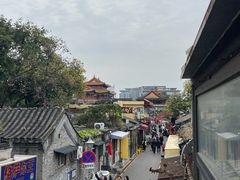 -Sirena海妖日咖夜酒