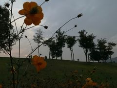 -钟山体育运动公园