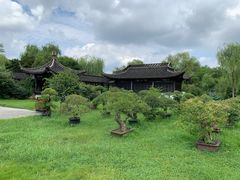 -盆景园(扬州大运河文化旅游度假区)
