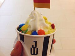 -JW德国冻酸奶Frozen Yogurt(龙湖成都滨江天街店)