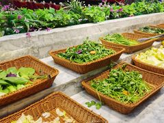 -火锅岛潮牌自助餐厅(天津天佑城店)