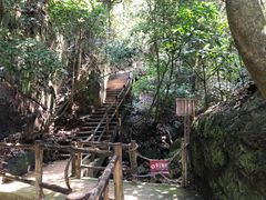 -南丹山森林王国