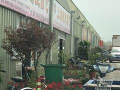 -龙大花卉苗木市场