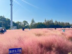 -嘉北郊野公园