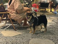 -J Create城市露营咖啡·简餐·宠物(上海动物园店)