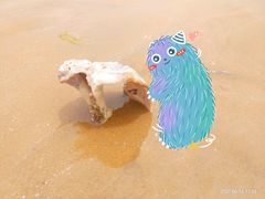 -青岛银沙滩