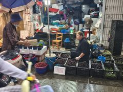 -东河市场