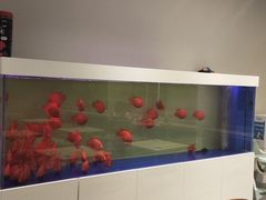 -蟹小满·蟹黄捞面(杭州西湖店)