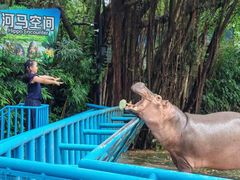 -广州长隆飞鸟乐园
