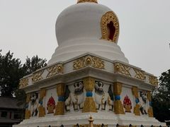 -护国法轮寺
