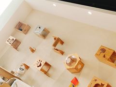 -藏猫猫咖啡主题馆(中央大道店)