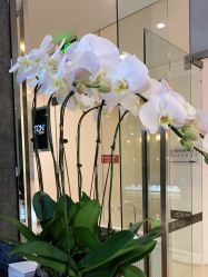 -意廊 Hair Salon