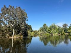-墨尔本皇家植物园