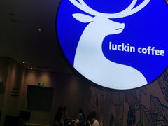 -瑞幸咖啡(合肥南站北广场店)