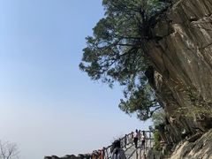-少华山国家森林公园