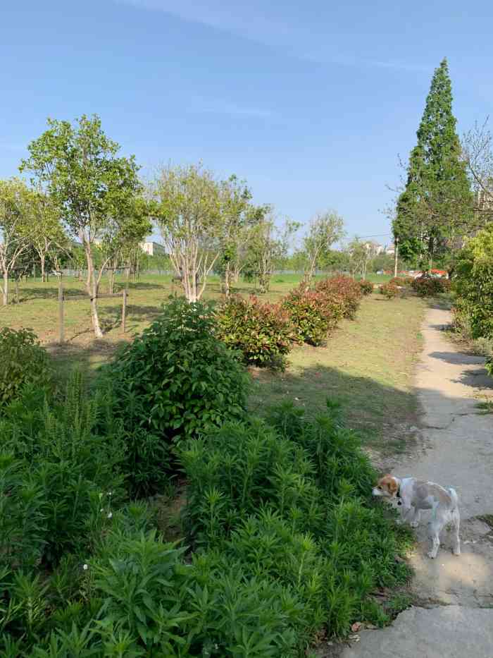 黄泥山遗址-"每年一次来这里,风景不错四面环水,地理位.