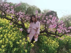 -南汇桃花村