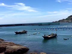 -南麂列岛