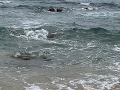 -日月湾海门游览区