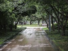 -蠡湖大桥公园