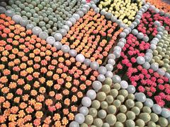 -南通洲际绿博园