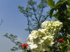 -重庆平顶山公园