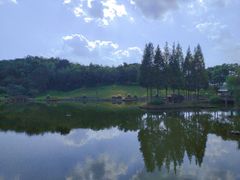 -龙吟九品(青龙山庄店)