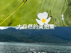 -丽江泸沽湖景区