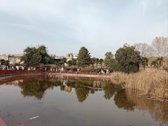 -洛阳市牡丹公园