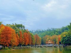 -深圳仙湖植物园