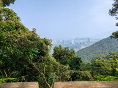 -鼎湖山风景区