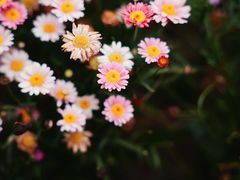 -上海鲁迅故居