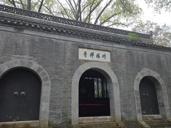 -镇江市南山风景名胜区竹林景区