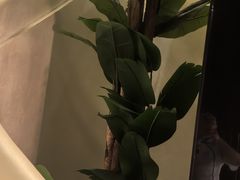 -大逸传奇·足道SPA(天美店)