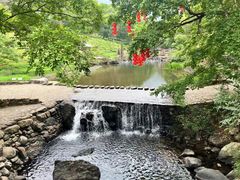 -广州市石门国家森林公园