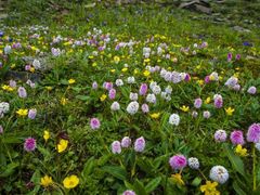-广东茂名森林公园