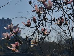 -高子水居