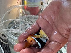 -小猫钓鱼海钓俱乐部(椰梦长廊店)