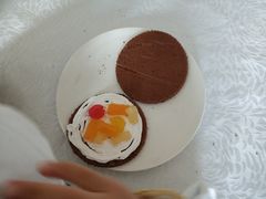 -廊坊固安福朋喜来登酒店