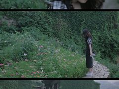 -枸杞岛