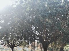 -南沙蒲洲花园