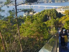-千岛湖天屿景区