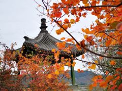 -香山公园