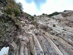 -花岙岛