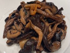 -芙蓉凰花园酒楼