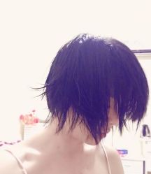 -IP SALON