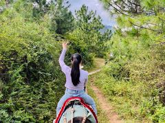 -云南驿景区-茶马古道景点